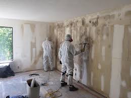 Forensic Mold Investigation in Woodruff, SC